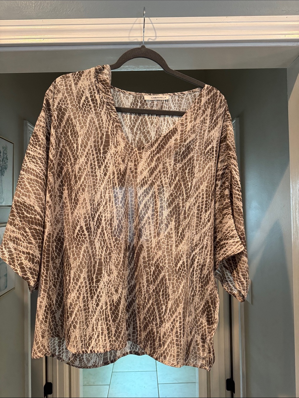 Brown Snake-Print V-Neck Tunic